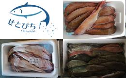 天然鮮魚BOX 20,000円