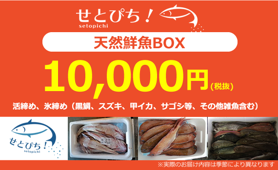天然鮮魚BOX10,000円