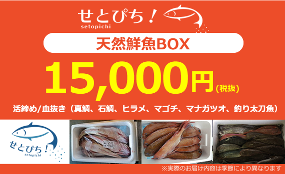 天然鮮魚BOX15,000円