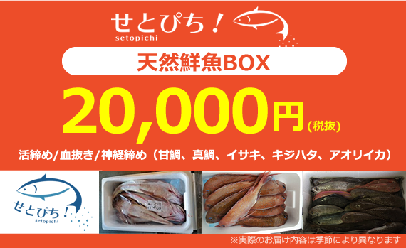 天然鮮魚BOX20,000円